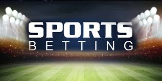 Take your gaming to the next level with exciting tournaments Take your gaming to the next level with exciting tournaments